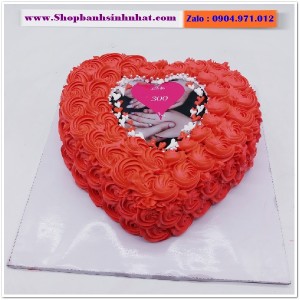 Bánh Sinh Nhật In Hình Ảnh - H550